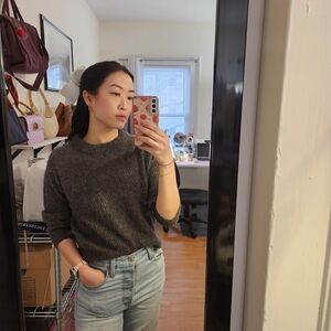 Everlane cocoon crew in alpaca (XS)